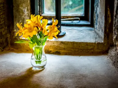 Bouquet de fleurs jaunes dans un vase de verre posé au soleil sur le rebord d'une fenêtre ancienne