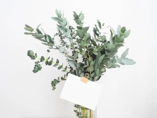Bouquet d'eucalyptus dans un vase, avec une petite carte blanche accrochée par une pince dorée