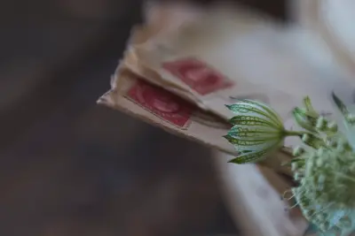 Un paquet de vieilles lettres timbrées, posé à côté d'une fleur des champs